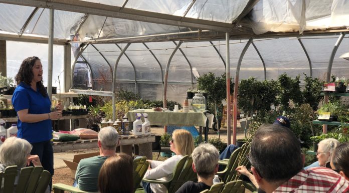 Member Profile – Jericho Nursery