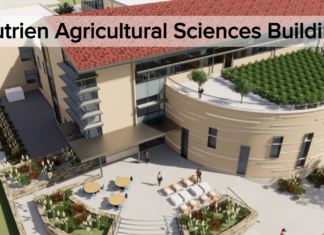 How Much Is a Workforce Pipeline Worth to You? Commit Now to Make It Happen