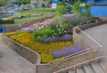 CSU Horticulture Students Are the Future of Horticulture