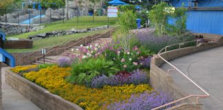 CSU Horticulture Students Are the Future of Horticulture