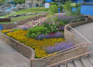 CSU Horticulture Students Are the Future of Horticulture