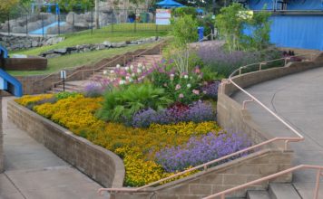 CSU Horticulture Students Are the Future of Horticulture