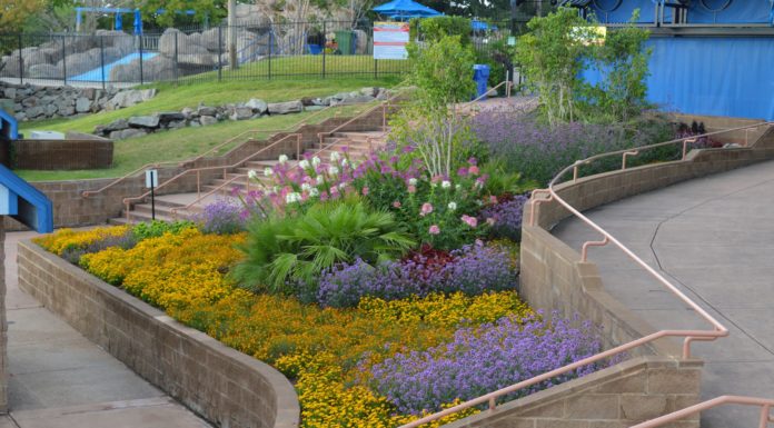 CSU Horticulture Students Are the Future of Horticulture
