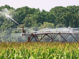 Water Saving Tips for Your Business