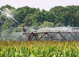 Water Saving Tips for Your Business