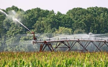 Water Saving Tips for Your Business