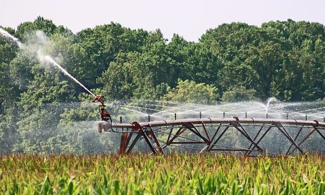 Water Saving Tips for Your Business