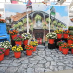 2022 California Summer Trials (CAST)