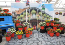 2022 California Summer Trials (CAST)