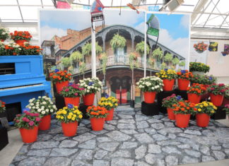 2022 California Summer Trials (CAST)