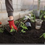 Recession: Last Time and Next Time