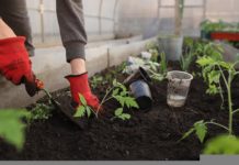 Recession: Last Time and Next Time