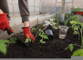 Recession: Last Time and Next Time