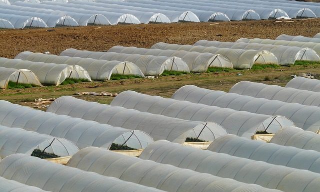Plant Supply was Drying Up 10 Years Before Pandemic