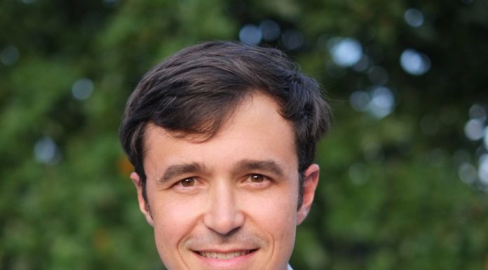 Tree Expert Dan Burcham, Ph.D., Joins CSU