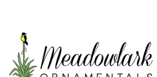 Member Profile – Meadowlark Ornamentals