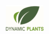 Member Profile – Dynamic Plants