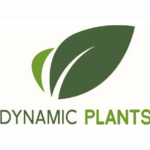 Member Profile – Dynamic Plants