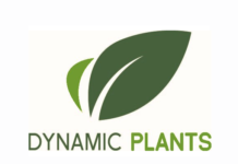 Member Profile – Dynamic Plants