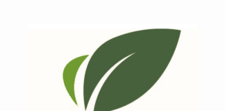 Member Profile – Dynamic Plants