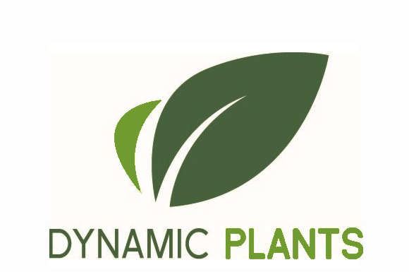 Member Profile – Dynamic Plants