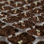 Stay at the Top of Your Profession by Tapping ProGreen EXPO Education