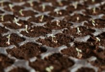 Stay at the Top of Your Profession by Tapping ProGreen EXPO Education