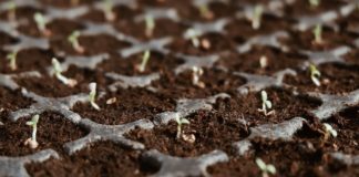 Stay at the Top of Your Profession by Tapping ProGreen EXPO Education