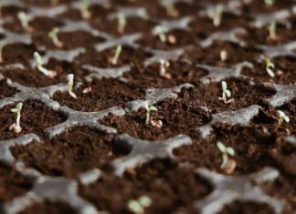 Stay at the Top of Your Profession by Tapping ProGreen EXPO Education