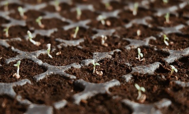 Stay at the Top of Your Profession by Tapping ProGreen EXPO Education