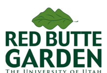 Member Profile – Red Butte Garden