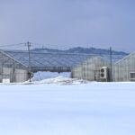 Decreasing Winter Plant Loss