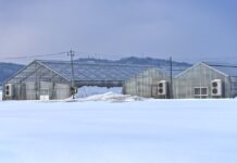 Decreasing Winter Plant Loss