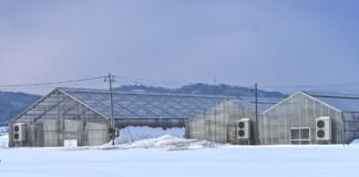 Decreasing Winter Plant Loss