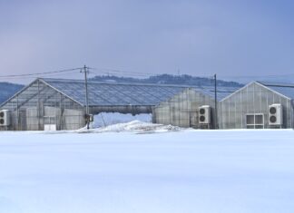 Decreasing Winter Plant Loss