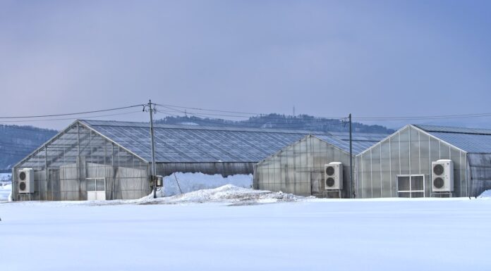 Decreasing Winter Plant Loss