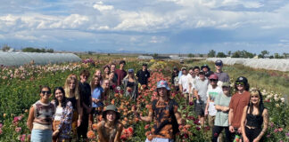 CSU Instructor Shannon Mason Champions Student-Centered Learning