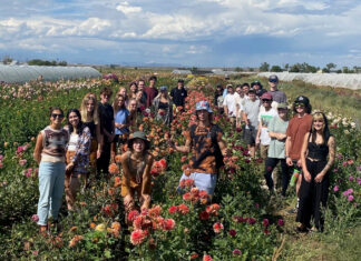 CSU Instructor Shannon Mason Champions Student-Centered Learning