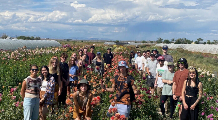 CSU Instructor Shannon Mason Champions Student-Centered Learning