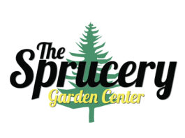 Member Profile – The Sprucery Garden Center