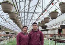 Can’t Find/Need Seasonal Workers? Hire Recent Newcomers