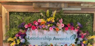 Cultivate 2024: Insights and Innovations