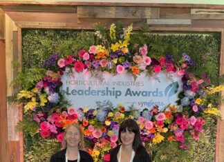 Cultivate 2024: Insights and Innovations