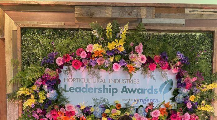 Cultivate 2024: Insights and Innovations