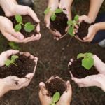 From Classroom to Career: Shaping the Future of Horticulture Education