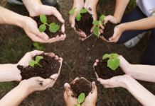 From Classroom to Career: Shaping the Future of Horticulture Education