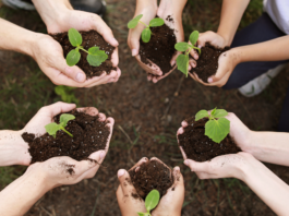 From Classroom to Career: Shaping the Future of Horticulture Education