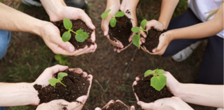 From Classroom to Career: Shaping the Future of Horticulture Education