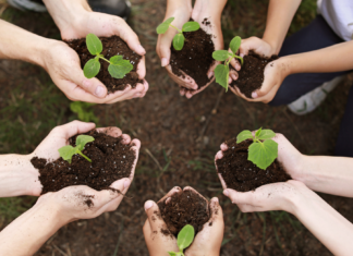 From Classroom to Career: Shaping the Future of Horticulture Education
