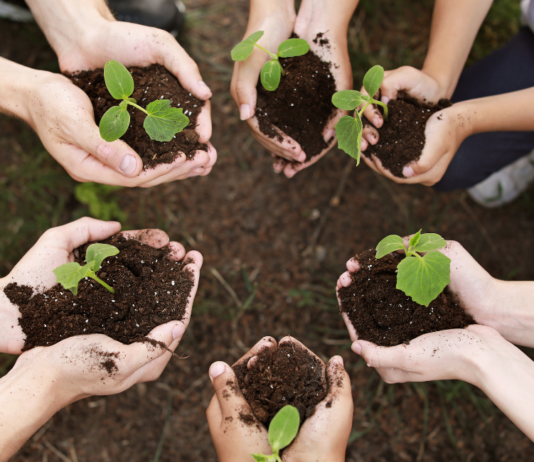 From Classroom to Career: Shaping the Future of Horticulture Education